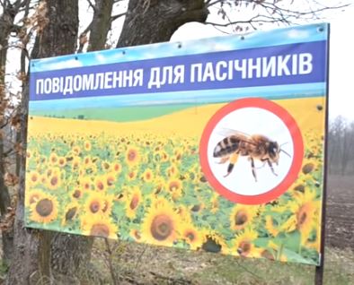 Пасечники Украины потребовали наказать фермеров из-за которых гибнут пчелы