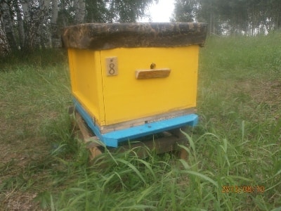 Дешевый улей  - как обеспечить пчеловодов дешевым и качественным ульем
