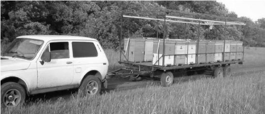 Использование легкового автомобиля для транспортировки пчелопавильона