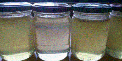 Получаем высококачественный и экологически чистый мед