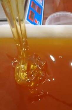 The color of melilot honey photo