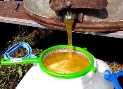 When Melilot honey is harvested - Melilot honey photo