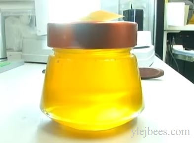 лавандовый мед фото