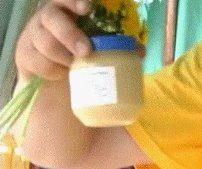 Одуванчиковый мед