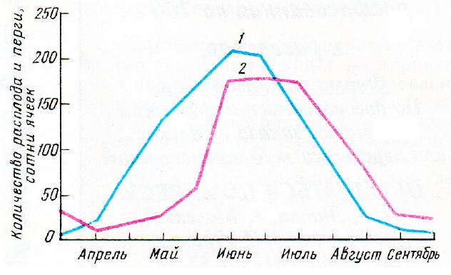 Рис.1. Динамика выращивания расплода (1) и изменения количества перги в гнездах пчелиных семей (2), 1980-1985 гг., n = 60.