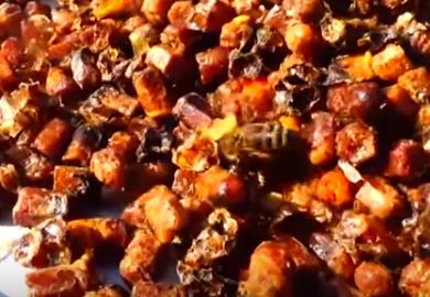 How to take bee bread in granules