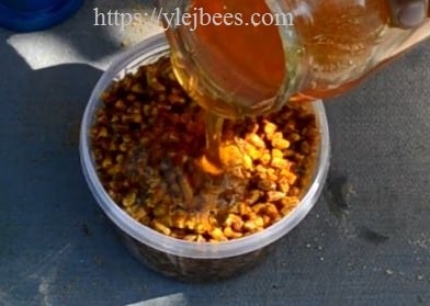 Honey with beebread photo