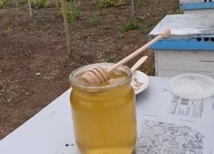 what kind of rapeseed honey three days after pumping