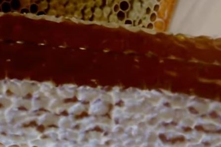 Кристаллизация верескового меда фото - даже из разрезаных сотов вересковый мед не вытекает