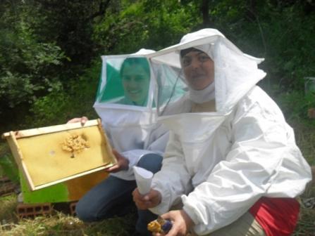 Женщины пчеловоды в Алжире