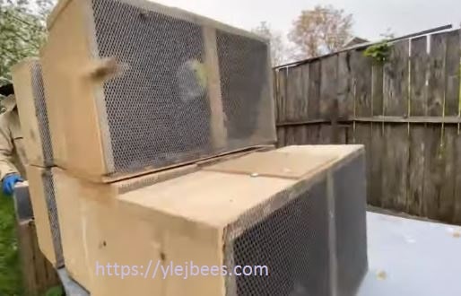 Комплектование бессотового пчелопакета