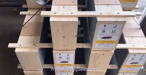 Плюсы пакета пчел без рамок