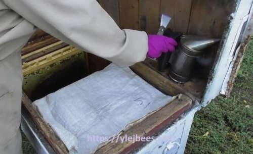 Утепление при зимовке на улице пчел в лежаке