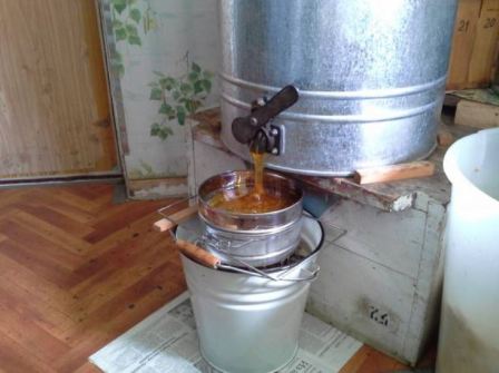 откачка меда в медогонке с ручным приводом