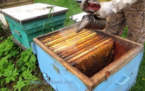 16 рамочный утепленный улей