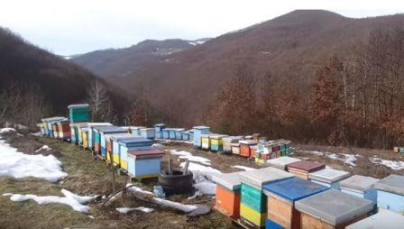 Итоги Азербайджанского пчеловодства в 2018 году