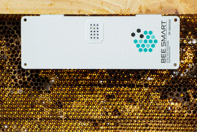 Инновационная система, встроенная в улей, собирает данные о пчелах