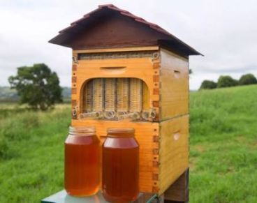 Иновационные технологии в пчеловодстве: flow hive