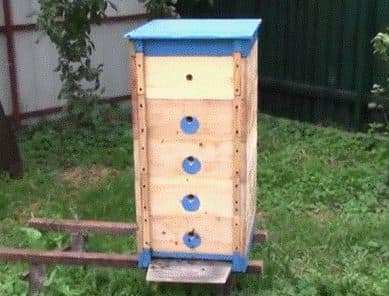 метод содержания пчел для получения меда