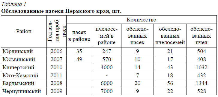 Таблица 1 Обследованные пасеки Пермского края, шт.