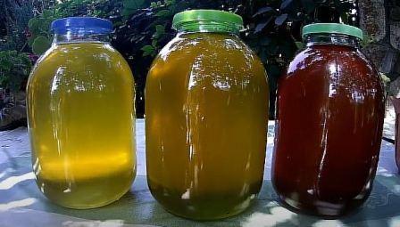 Акация, разнотравье с акацией, кориандр