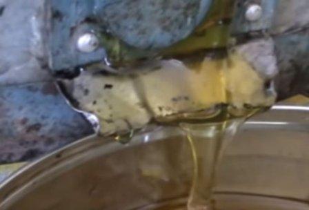 Как выглядит липовый мед фото откачки липового меда