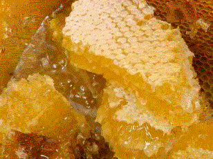 Минеральный состав липового мёда