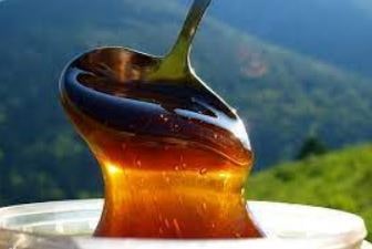 мед молочаевый полезные свойства
