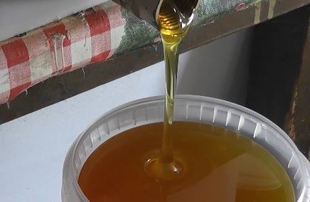 Васильковый мед новгородской пасеки