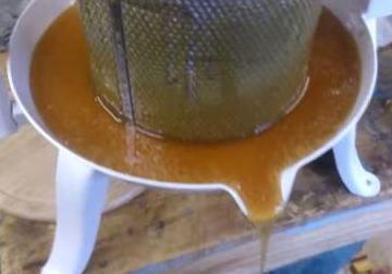 Healing properties of heather honey photo