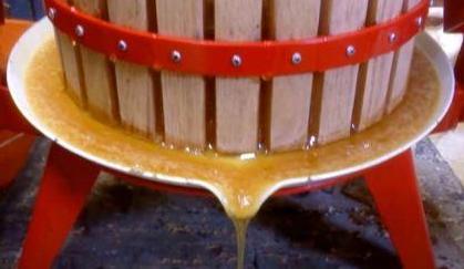 What heather honey looks like photo