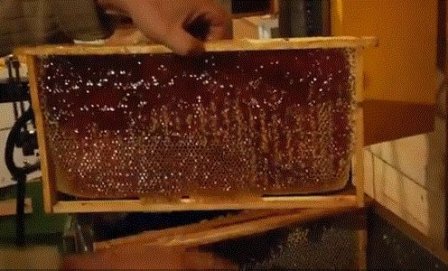 чем лучше вскрывать соты перед откачкой