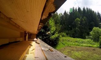 Пчелиные ульи будут возвращены в словацкие леса -Лесники заключили сделку с пчеловодами
